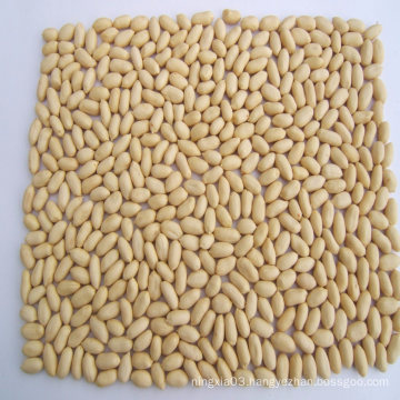 Blanched Peanut Groundnut Food Grade